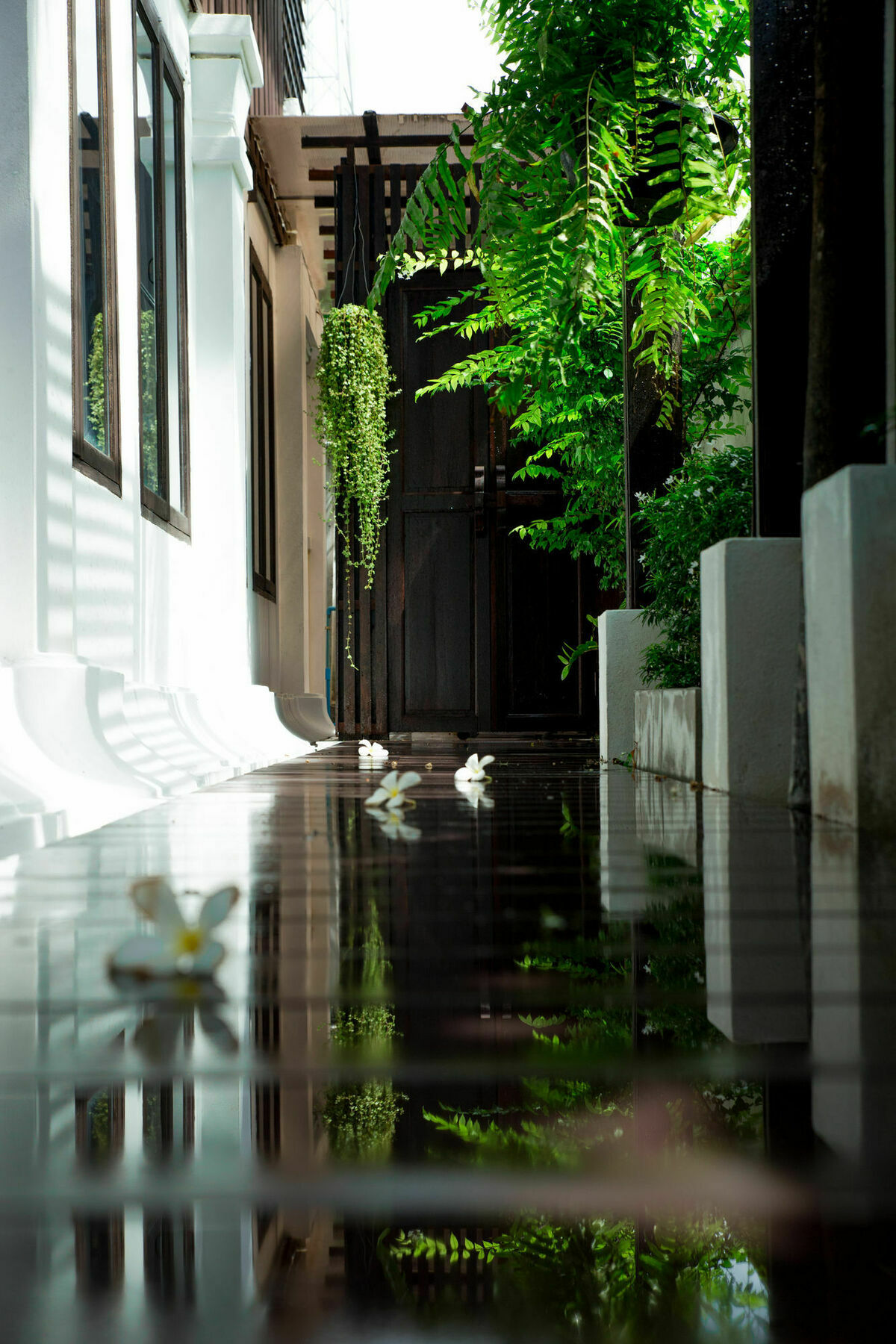 Rachamankha Thai Villa Čiang Mai Exteriér fotografie